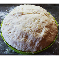 A-ONE Super 2 1 Levure sèche instantanée hautement active en poudre 500g sous vide Fermentation plus rapide pour pain et baguette (HALAL/HACCP/ISO)