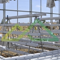 Système d'irrigation et d'engraisage intégré pour serres commerciales en tuyaux PVC hydroponiques pour la culture de légumes-feuilles Pandagreenhouse