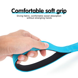 HanYang Custom 2 manici imbottiti guinzaglio da addestramento forte ammortizzatore elastico per cani guinzaglio pesante guinzaglio cane con cintura di sicurezza auto - Product Image 3