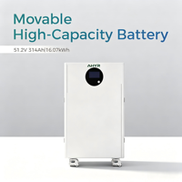 Batterie de stockage d'énergie solaire LiFePO4 51,2 V 314 Ah 16 kWh avec BMS intelligent, Bluetooth et Wi-Fi en option, pour alimentation de secours domestique
