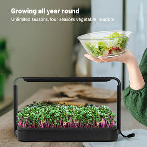 Compact Hydroponic Indoor Tabletop <strong>Microgreens</strong> Grow Kit Self Watering Planting Tray with LED Timing - Product Image 5