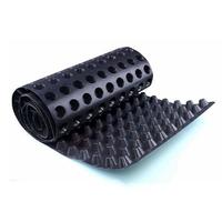 HDPE Drainage Board for Tunnel Lining Subgrade Foundation Water Drainage Geocomposite Sheet Underground Construction