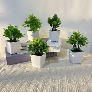 Plantes artificielles d'<span class=keywords><strong>eucalyptus</strong></span> en soie en <span class=keywords><strong>pot</strong></span>, décoration intérieure et extérieure, petit <span class=keywords><strong>pot</strong></span> carré vert, vente chaude transfrontalière - Product Image 3