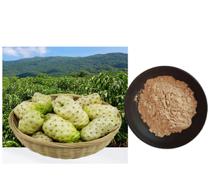 Yüksek kaliteli toptan <span class=keywords><strong>Noni</strong></span> meyve tozu vitamini davul/şişe ambalajlama 99% - Product Image 5