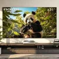 Écran de projection Fscreen Aura Series 120 Fresnel ALR pliable à cadre fixe pour projecteurs UST laser 8K