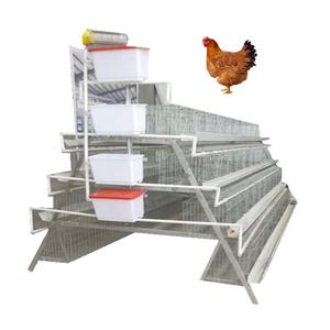 Cage à poulet en acier inoxydable 200 <span class=keywords><strong>pour</strong></span> <span class=keywords><strong>les</strong></span> <span class=keywords><strong>poules</strong></span> et <span class=keywords><strong>les</strong></span> bébés poussins, caisse en bois, produit chaud fourni, poulailler à 20 <span class=keywords><strong>poules</strong></span> <span class=keywords><strong>pondeuses</strong></span> - Product Image 1