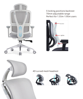 Chaise d'ordinateur blanche réglable de bureau de chaise ergonomique confortable de dos de maille