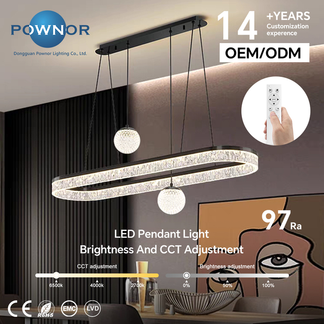Wave Acrylic Long Oval LED Pendant Light High CRI97 Dual Control Dimmable Lamp Factory OEM Private Indoor Decorative Lighting