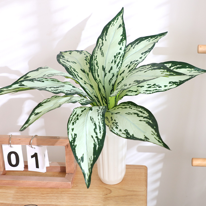 สาวงามหลับใหล