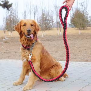 Guinzaglio per Cani Intrecciato Resistente con Collare a P Choke Martingale per Addestramento e Passeggiate - Product Image 5