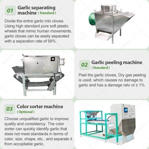 Máquina Peladora y Clasificadora de Ajo Eléctrica Neumática Pequeña de Cadena para Procesamiento y Fabricación - Precio - Product Image 4
