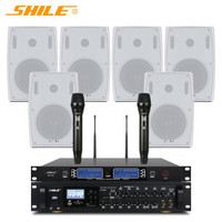 Système de sonorisation professionnel SHILE AV8820 BX-105 pour scène, mariage/salle de conférence, amplificateur, microphone, pack combo 6,5 pouces