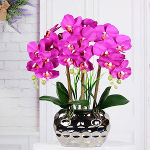 AF0571 orchidea artificiale <span class=keywords><strong>In</strong></span> <span class=keywords><strong>vaso</strong></span> orchidea bianca seta finta Phalaenopsis orchidea pianta <span class=keywords><strong>In</strong></span> <span class=keywords><strong>vaso</strong></span> fiore finto decorazione della casa disposizione - Product Image 3