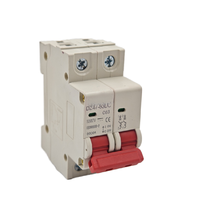 Interruptor Automático de Circuito de 2 Polos, 6A-63A, 220V CA, 50/60Hz, Tipo C, Capacidad de Ruptura de 6kA