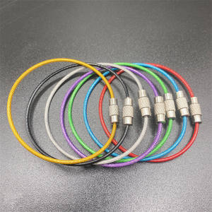 Cadenas en acier inoxydable coloré et revêtu de plastique en stock, <span class=keywords><strong>porte</strong></span>-clés en câble métallique, anneaux de clés durables pour un usage quotidien - Product Image 6