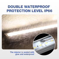 Luz Lineal LED de Alta Luminosidad para Iluminación de Contornos de Edificios Profesional para Exteriores, con Capa de Pegamento de Alta Densidad, 12W, DC24V, IP66