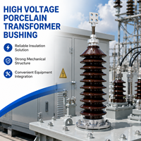 Isolateur en porcelaine pour transformateur, bagues de transformateur extérieures, bagues de transformateur haute tension pour équipements électriques