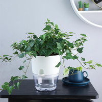 Pot Tanaman Dalam Ruangan Self-Watering Grosir, Tali Katun Plastik Transparan, Fitur Penyerap Air, Pot Bunga Tanpa Perawatan, Taman