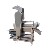 Industriële grote spiraalvormige sapcentrifuge, spiraalvormige sapcentrifuge, ananassapcentrifuge, gembersapcentrifuge