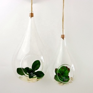 Globe <span class=keywords><strong>en</strong></span> <span class=keywords><strong>verre</strong></span> suspendu transparent <span class=keywords><strong>en</strong></span> forme de larme, terrarium, vase <span class=keywords><strong>à</strong></span> fleurs avec fond plat <span class=keywords><strong>pour</strong></span> plantes succulentes et plantes aériennes - Product Image 5