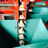Semoir-Planteur Automatique à 1, 2 ou 3 Rangs pour l'Ail (Allium Sativum) – Composants Essentiels à Haute Productivité