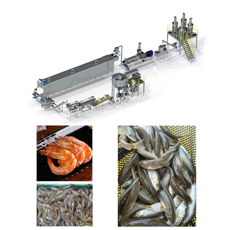 Aquatic Animal Feed Processing Solution Fish