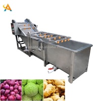 Fabriek die machines voor het reinigen en steriliseren van groenten en fruit levert