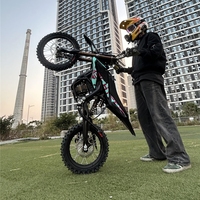 2025 Ebike 5000W Hyper Bee Vélo électrique en alliage d'aluminium le plus puissant Enduro Hybrid Electric Dirt Bike