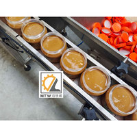 Petite machine de remplissage automatique MTW pour sauce trempette mayonnaise beurre d'arachide