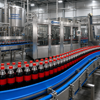 Machine de remplissage et d'embouteillage automatique de boissons gazeuses et de limonade au prix d'usine en Chine