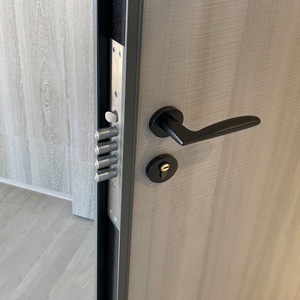 Puerta de entrada Estructura de acero Interior Habitación Puerta Diseño Dormitorio Antirrobo Puerta insonorizada - Product Image 6