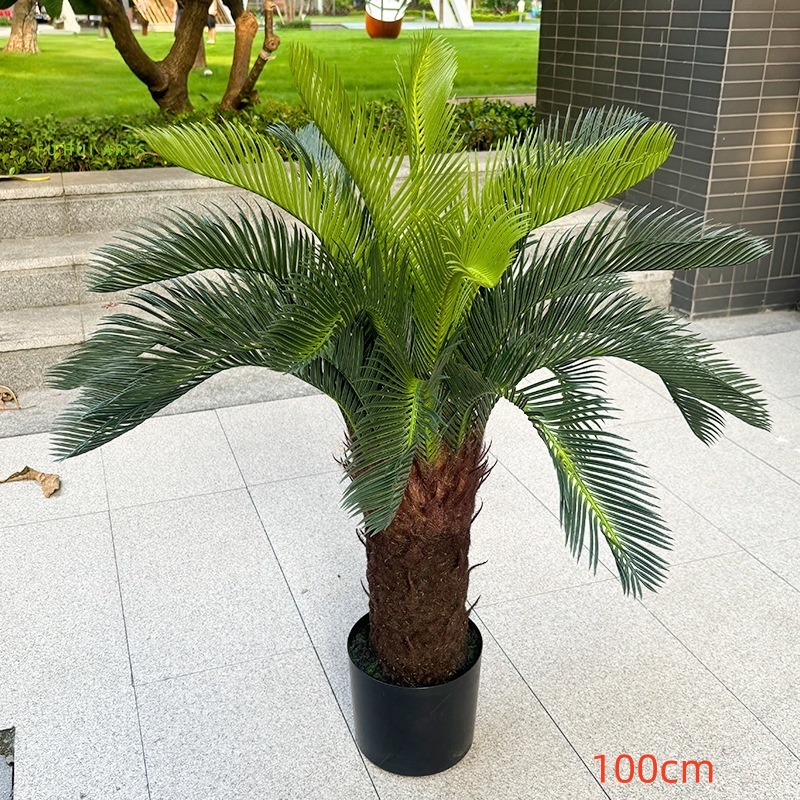 100 cm/24 feuilles
