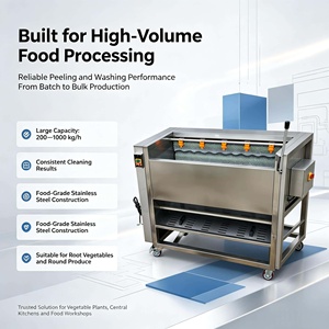 <span class=keywords><strong>Prix</strong></span> Compétitif pour Machine Automatique à Rouleaux Brossants pour le Lavage, le Polissage et le Pelage <span class=keywords><strong>du</strong></span> Gingembre, des Pommes <span class=keywords><strong>de</strong></span> Terre et des Carottes, Machine à Laver les Fruits - Product Image 6