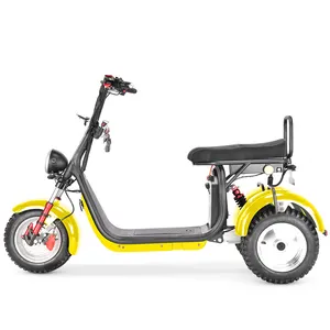 12AH çıkarılabilir pil ucuz fiyat citycoco 2000w 3 tekerlekli elektrikli scooter yetişkin eec yetişkin elektrikli motosiklet
