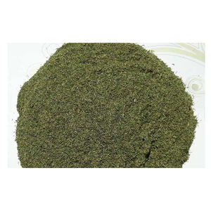 Hojas de eneldo secas FD de alta calidad directamente nuestra granja supervisada Egipto tipo de procesamiento crudo gránulos rebanadas especias individuales hierbas El - Product Image 6