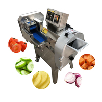 Multifunctionele commerciële snijmachine voor wortelen, aardappelen, komkommers, uien, verse peterselie, bladgroenten en spinazie