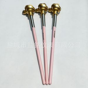 Salt Inscription Thermocouple WRP-130 Type S R B Platinum Rhodium High Temperature Resistance 0-1800 Celsius - Product Image 3