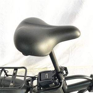Bicicleta eléctrica plegable, cicla eléctrica de 250w-750 vatios, almacén de la UE, mercado de primavera, nuevo modelo, 2022 - Product Image 2