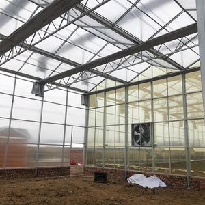 Serra Agricola Multi-Span Grande Starfarm in Stock per Idroponica di Pomodori con Copertura in Lastre di Policarbonato - Basso Costo, Alta Resa - In Offerta - Product Image 3