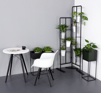 Présentoir en métal pour Pot de fleurs, étagère sur pied, à 5 niveaux, support de présentation pour plantes à fleurs