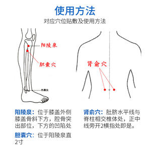Obat Herbal Cina untuk Meningkatkan Kesehatan Batu Empedu, 8 Paket Plester Pereda Batu Empedu - Product Image 4