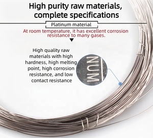 0,3mm 0,5mm <span class=keywords><strong>1mm</strong></span> Alambre de platino 999 de alta pureza Pt para productos químicos - Product Image 2