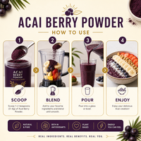 Poudre de baies d'açaï lyophilisées, anthocyanes, en boîte/bouteille, certifiée, pour la fabrication de smoothies et de boissons, approvisionnement en vrac