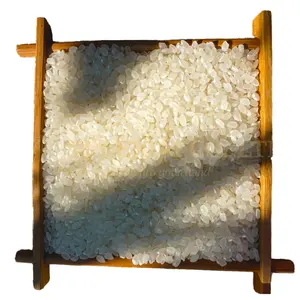 Arroz japonês branco orgânico de alta qualidade e arroz quebrado formato redondo e curto seco originário do Vietnã, arroz vietnamita