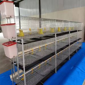 Nouvelle <span class=keywords><strong>cage</strong></span> de filet d'élevage de lapin de tuyau galvanisé de haute qualité avec filet de volaille animale 12 unités de capacité Durable et facile à nettoyer - Product Image 5