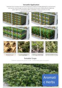สำหรับระบบ Autopot ไฮโดรโปนิกส์ในร่มระบบการเจริญเติบโตของพืชหอการค้าในร่มสมุนไพรสวนเมล็ดงอกกล่อง - Product Image 3