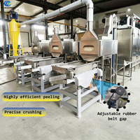 Machine à torréfier et blanchir les cacahuètes à haut rendement (1000-2000 kg/h) avec contrôle PLC et éplucheur de cacahuètes séparé