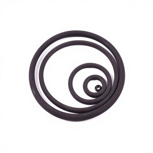 Juego de Juntas Tóricas FKM/FFKM de Baja Compresión para Sellos de Fluido Magnético de Máquinas <span class=keywords><strong>ALD</strong></span>, Solución de Sellado al Vacío de Alta Elasticidad - Product Image 1