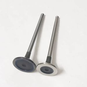 Pour Citroen C3 C4 <span class=keywords><strong>DS4</strong></span> Peugeot Opel pièces de soupape de moteur 9801960980 539042 soupapes d'admission - Product Image 2