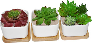 <span class=keywords><strong>Macetas</strong></span> pequeñas blancas suculentas con bandeja de bambú, soporte cuadrado geométrico <span class=keywords><strong>para</strong></span> plantas de <span class=keywords><strong>Cactus</strong></span> <span class=keywords><strong>para</strong></span> mesa de oficina en casa o uso en el jardín - Product Image 5